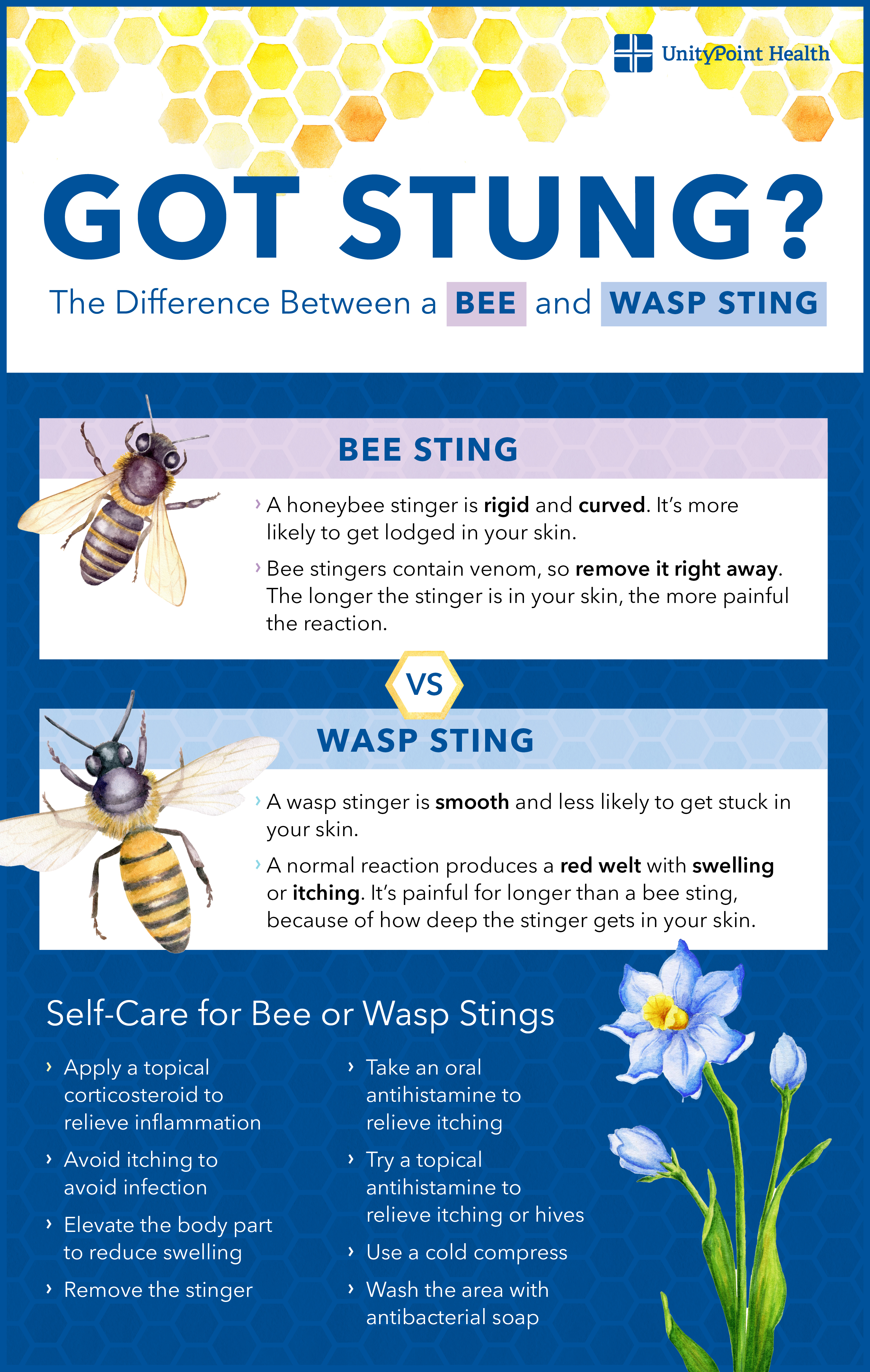Bee vs wasp sting infographic.jpg