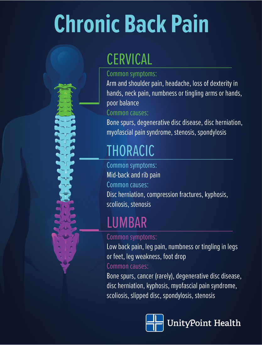 Chronic back pain infographic.jpg