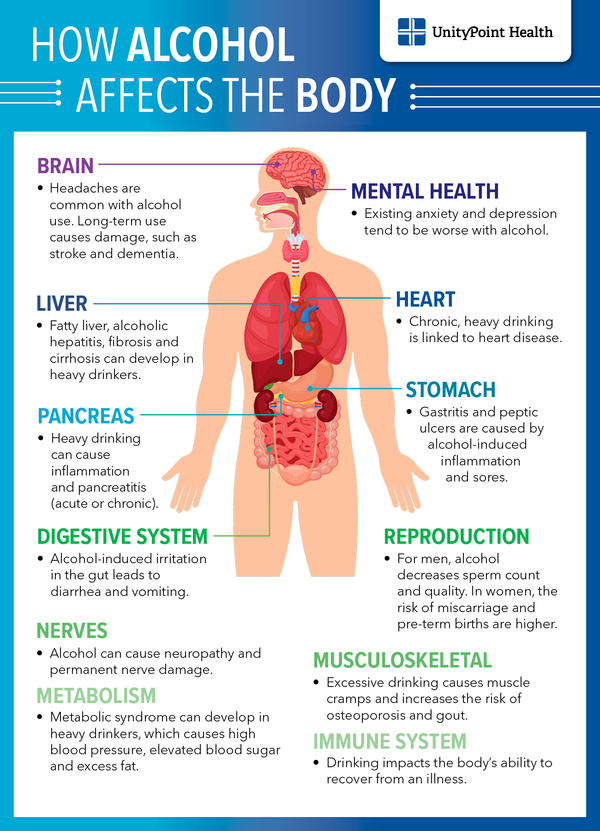 Effects of alcohol on the body graphic